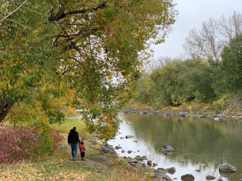 زندگی در کلگری