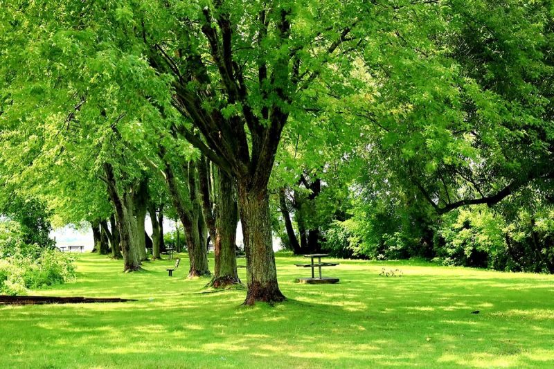 کانادا یکی از زشت ترین کشورهای دنیاست