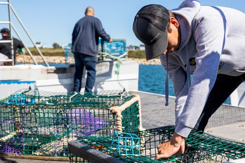 اطلاعات آماری صنعت ماهیگیری، شکار و تله گذاری در کانادا