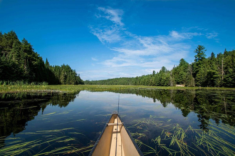 پارک های طبیعی انتاریو؛ از جاهای گردشگری کانادا برای طبیعت دوستان