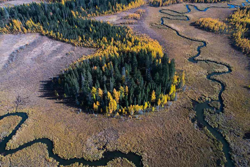 پارک ملی رایدینگ مانتین؛ از بهترین جاهای دیدنی کانادا از نظر گونه های طبیعی و حیوانی